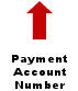 payment account number arrow